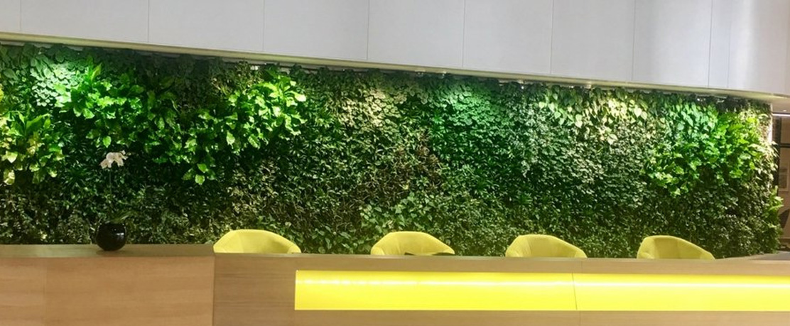 decorar paredes con plantas