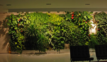 ¿Cómo decorar tu oficina con plantas?