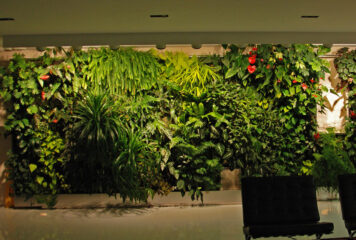 ¿Cómo decorar tu oficina con plantas?
