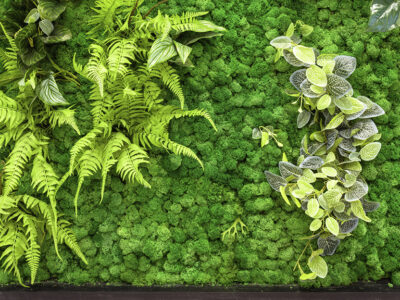 Jardines verticales para interiores de oficinas: mobiliario ecológico