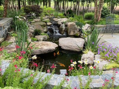 Tendencias en el diseño de jardines