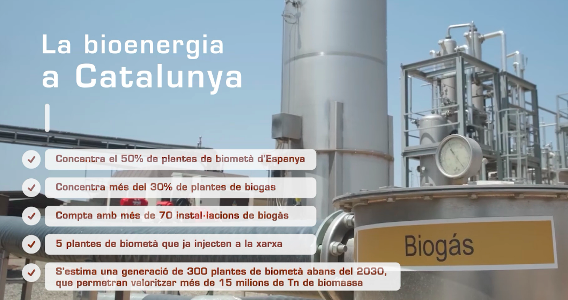 El Clúster de la Bioenergía de Catalunya (CBC) celebrará la I Noche de la Bioenergía, donde se entregarán los Premios de la Bioenergía 2023
