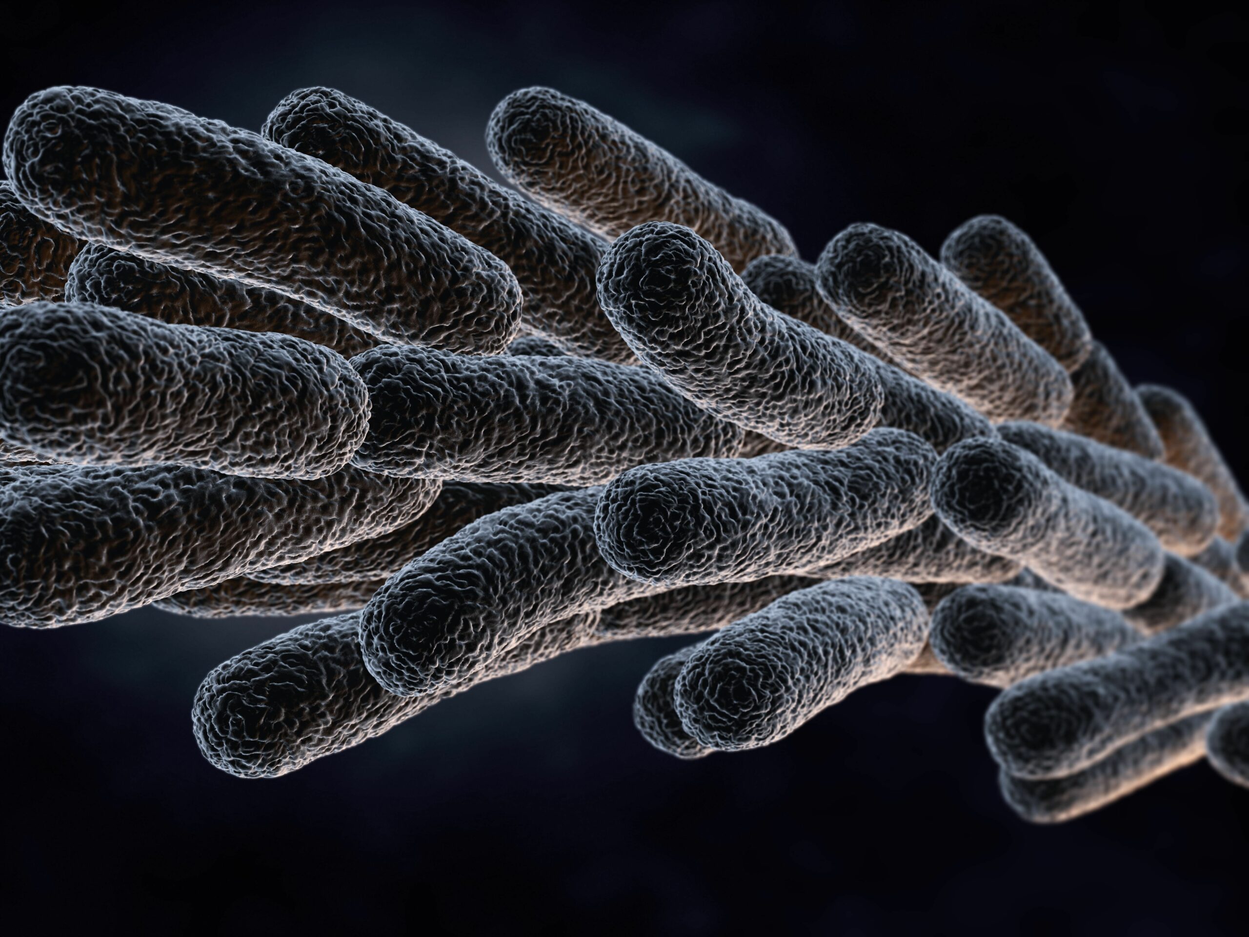 legionella pneumophila bacteria 2023 11 27 04 52 31 utc 1 2 scaled