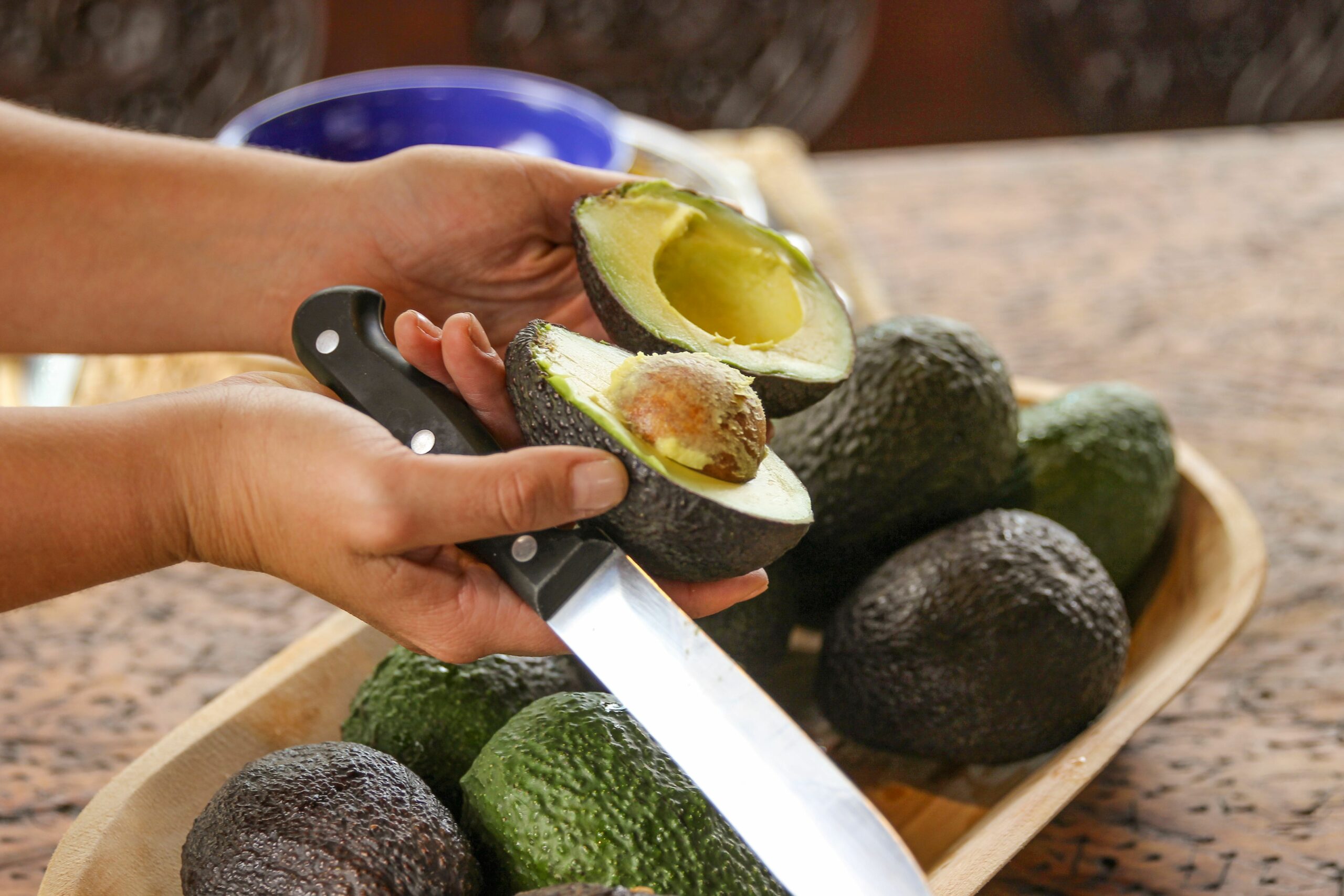 AGUACATE 76 de 80 scaled