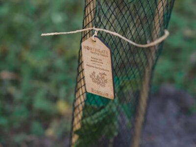 Bosques Northgate suma 8 reforestaciones con 4.000 especies autóctonas para recuperar espacios degradados en España