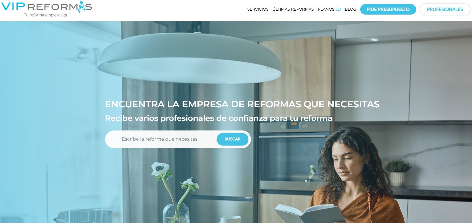web vip reformas