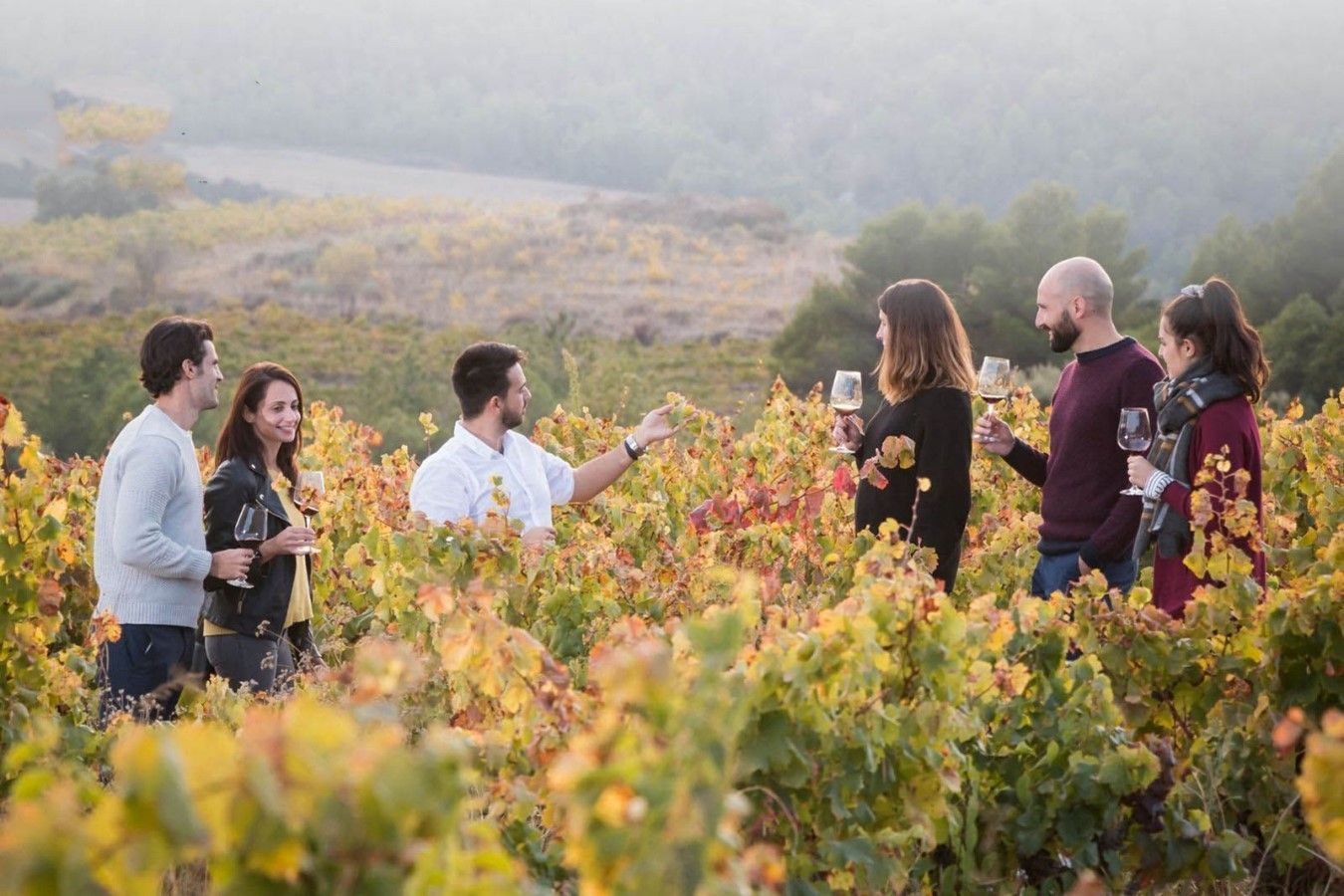 Bodegas Obergo frescura y elegancia en los vinos blancos del somontano 1