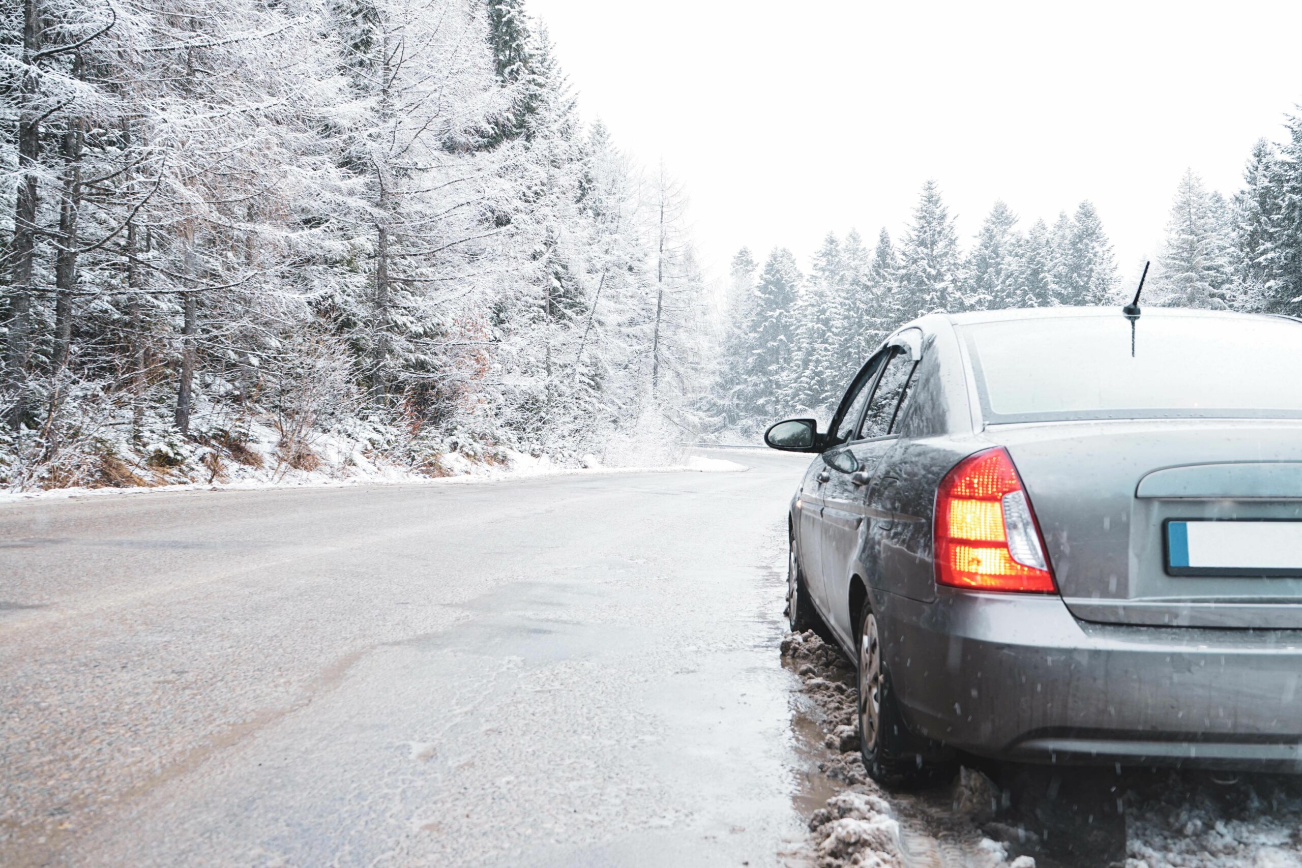 car winter road forest 1 scaled