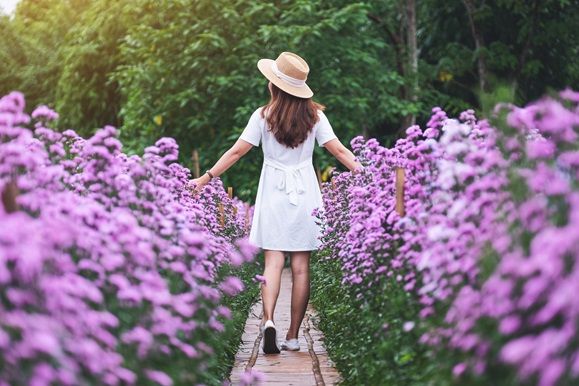 AdobeStock 383793632 LQ