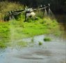 Es tiempo de activar los programas de control vectorial anticipados para la prevención y el control de mosquitos por parte de las administraciones