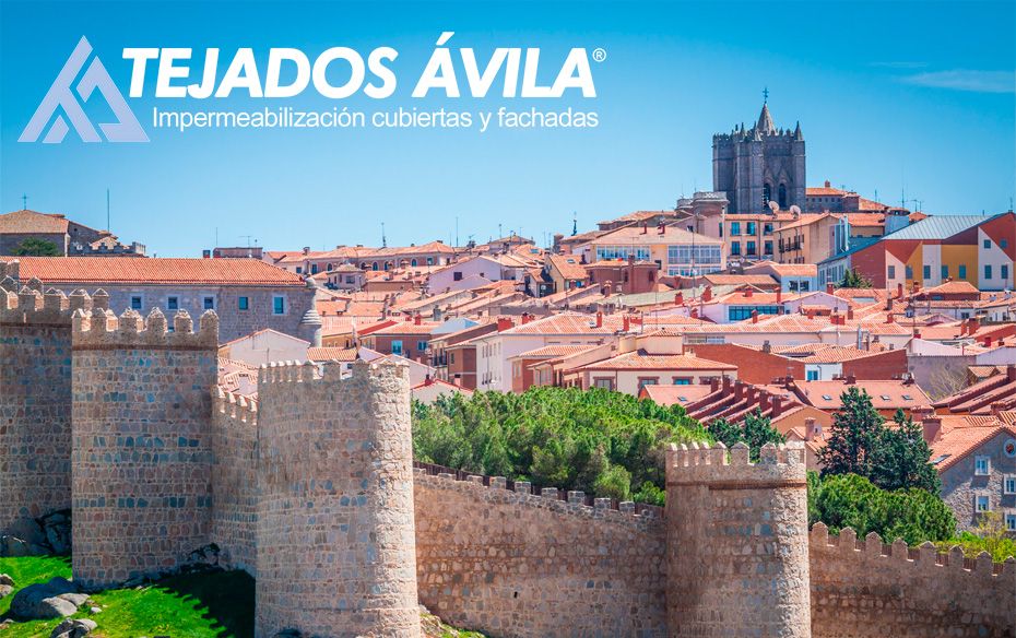 TEJADOS AVILA