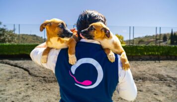 La clonación animal, una práctica aprobada por la Unión Europea y el Vaticano