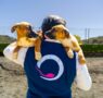 La clonación animal, una práctica aprobada por la Unión Europea y el Vaticano