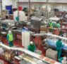 Emcesa lleva cada día directamente a la mesa productos de máxima calidad y seguridad alimentaria