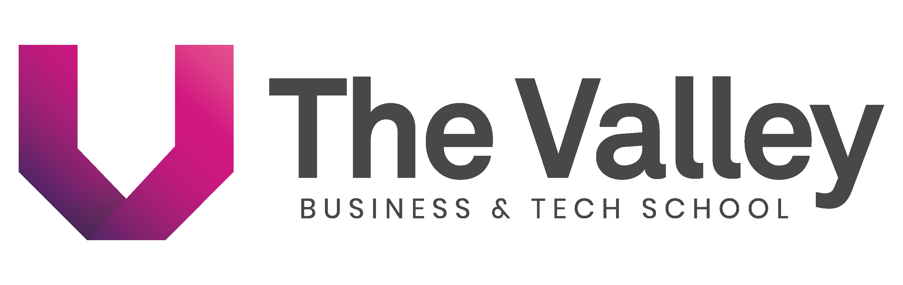 Logo The Valley