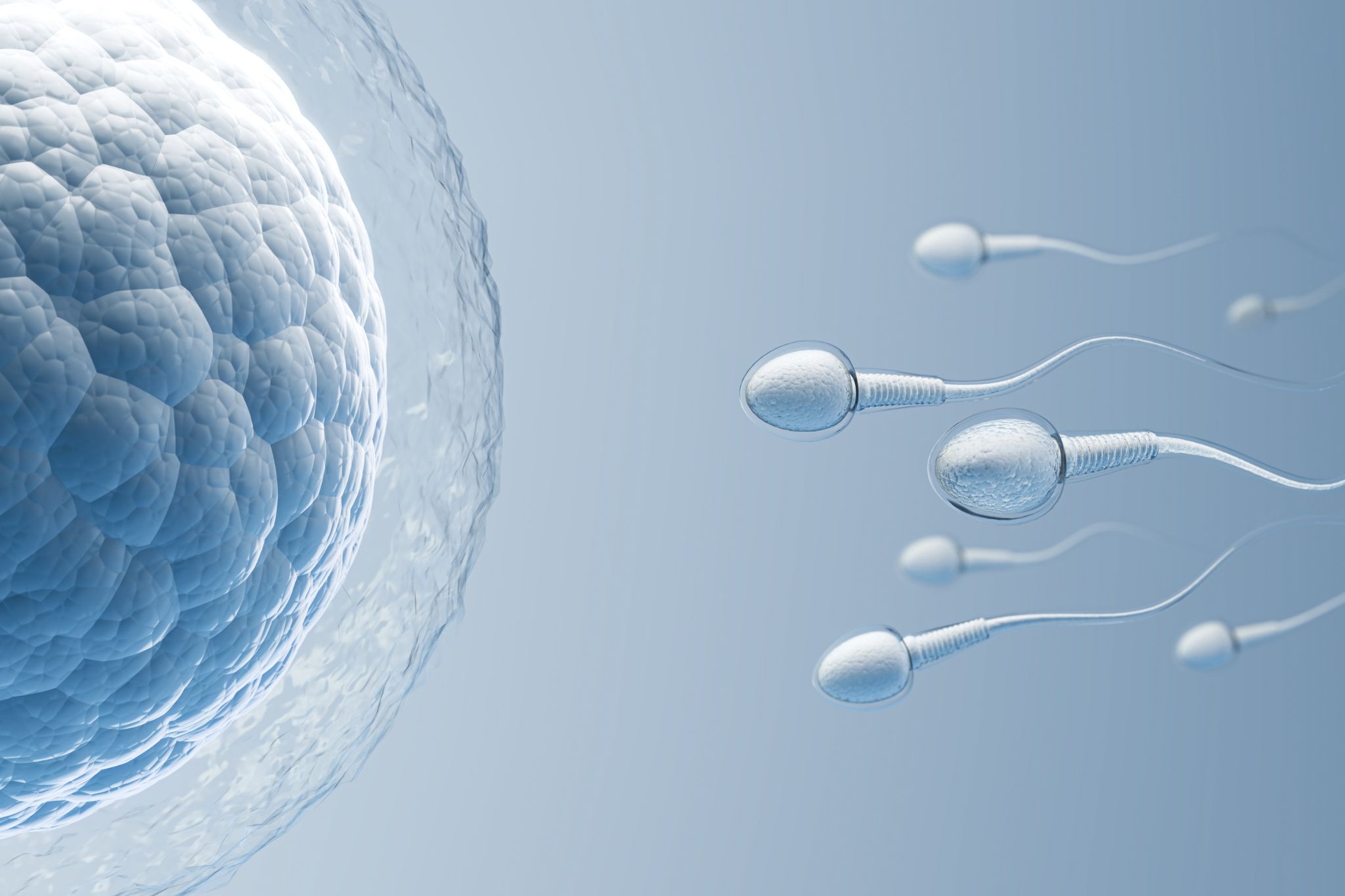 Reproduccion asistida