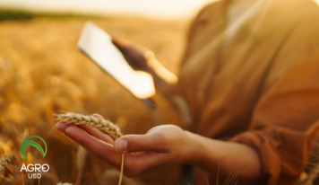 AgroUSD impulsa autonomía financiera en el campo con tecnología diseñada desde la producción