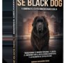 ‘Sé Black Dog’: la revolución digital que está transformando el sector inmobiliario español