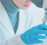 Conejos, clave en avances médicos: investigación ética impulsa la salud humana