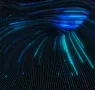 Eviden lanza su tarjeta de conmutación «Ethernet XMC»