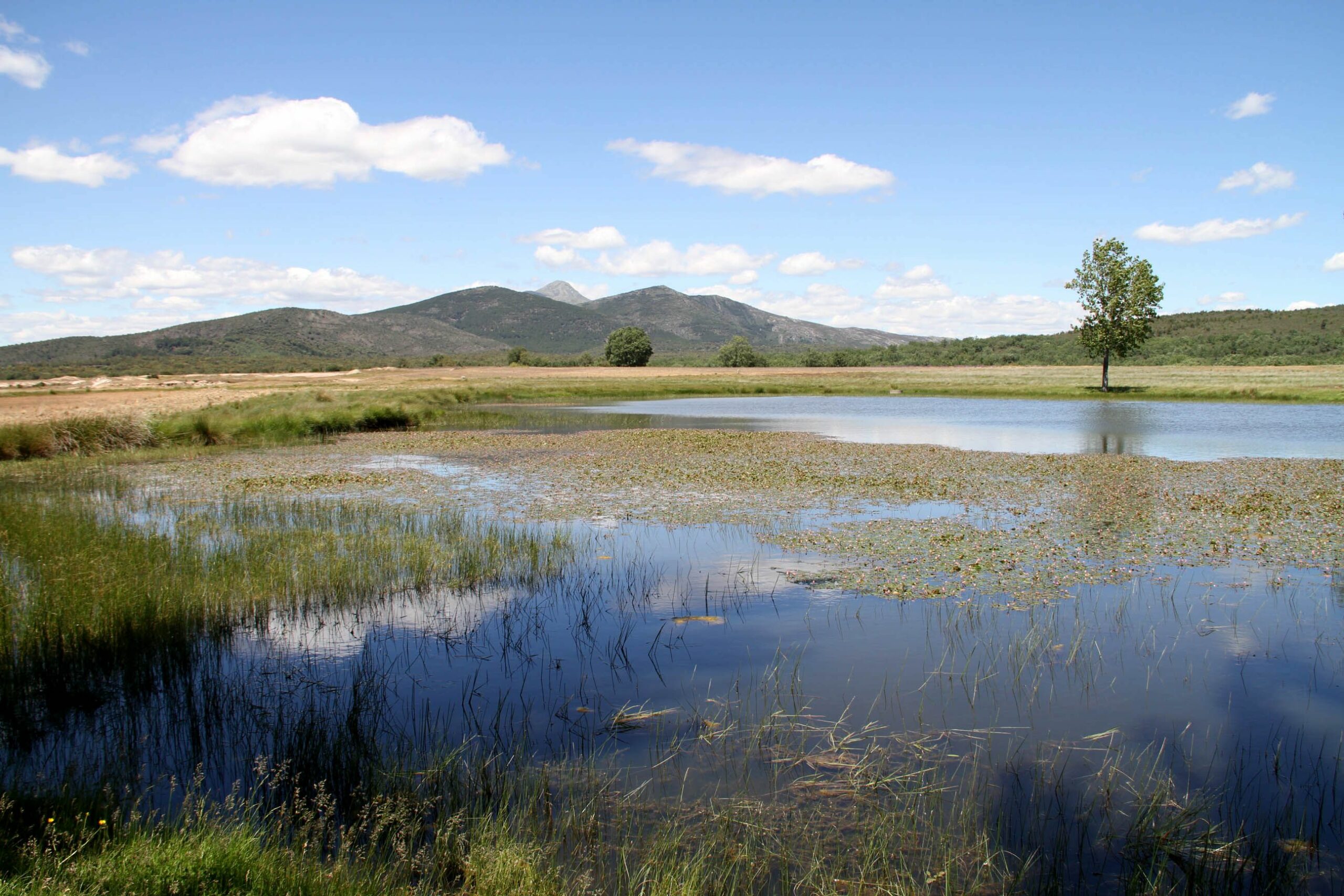 Sierra Norte de Guadalajara1 scaled