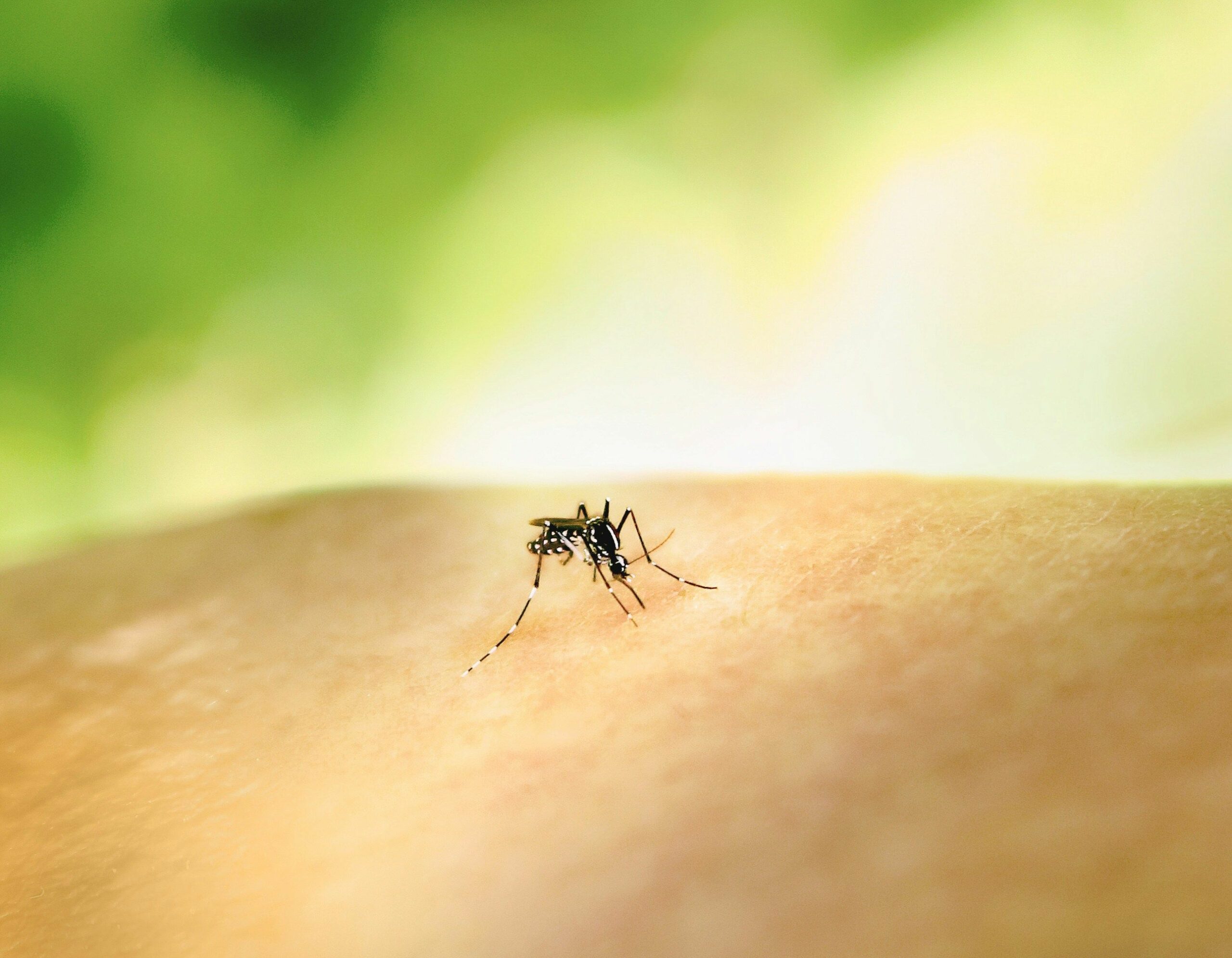 national institute of allergy and infectious diseases eOR3TOE9Jw0 unsplash scaled