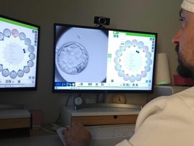 Un modelo de IA prevé con acierto del 82% el desarrollo de embriones con técnicas de reproducción asistida