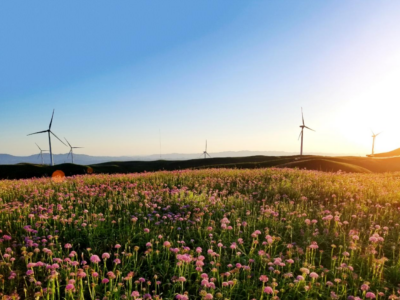 Energía verde en el corazón de Wumeng: Guizhou perfila un nuevo modelo de desarrollo de energías limpias de alta calidad