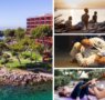 Vuelve del 22 al 27 de octubre el Mallorca BJJ and Yoga Festival