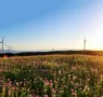 Energía verde en el corazón de Wumeng: Guizhou perfila un nuevo modelo de desarrollo de energías limpias de alta calidad