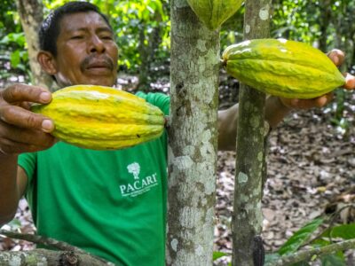 Ecuador se consolida como el destino ideal para los amantes del cacao