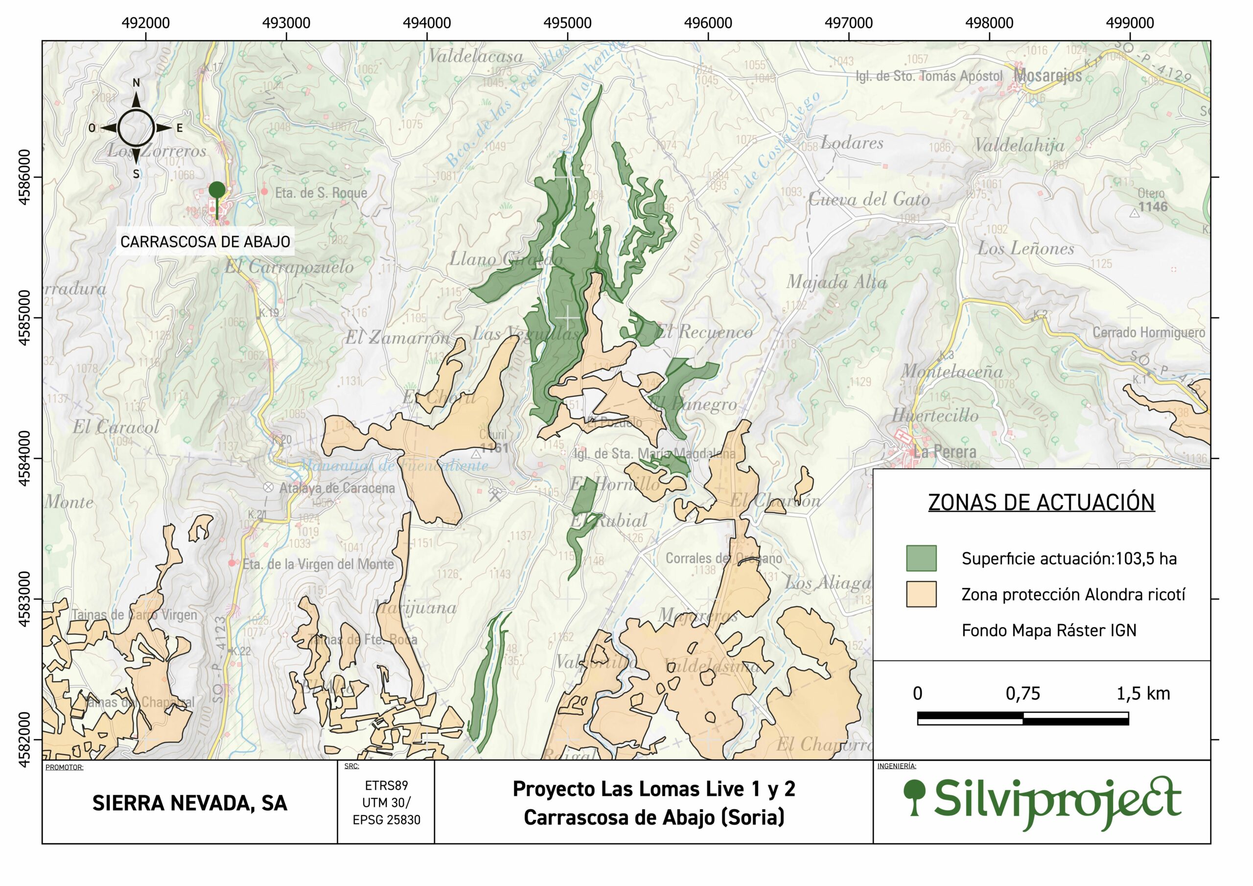 Zonas de Actuacion scaled