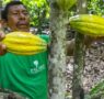 Ecuador se consolida como el destino ideal para los amantes del cacao