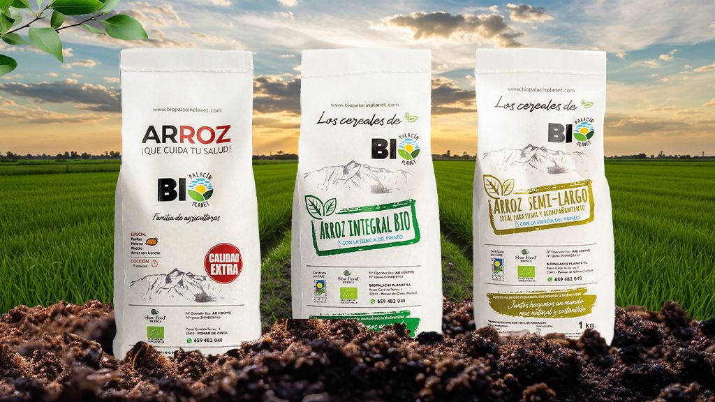 blog ARROZ ECOLOGICO 2025