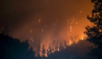 Allianz intensifica su protocolo especial ante los incendios que están asolando parte del país