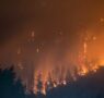 Allianz intensifica su protocolo especial ante los incendios que están asolando parte del país