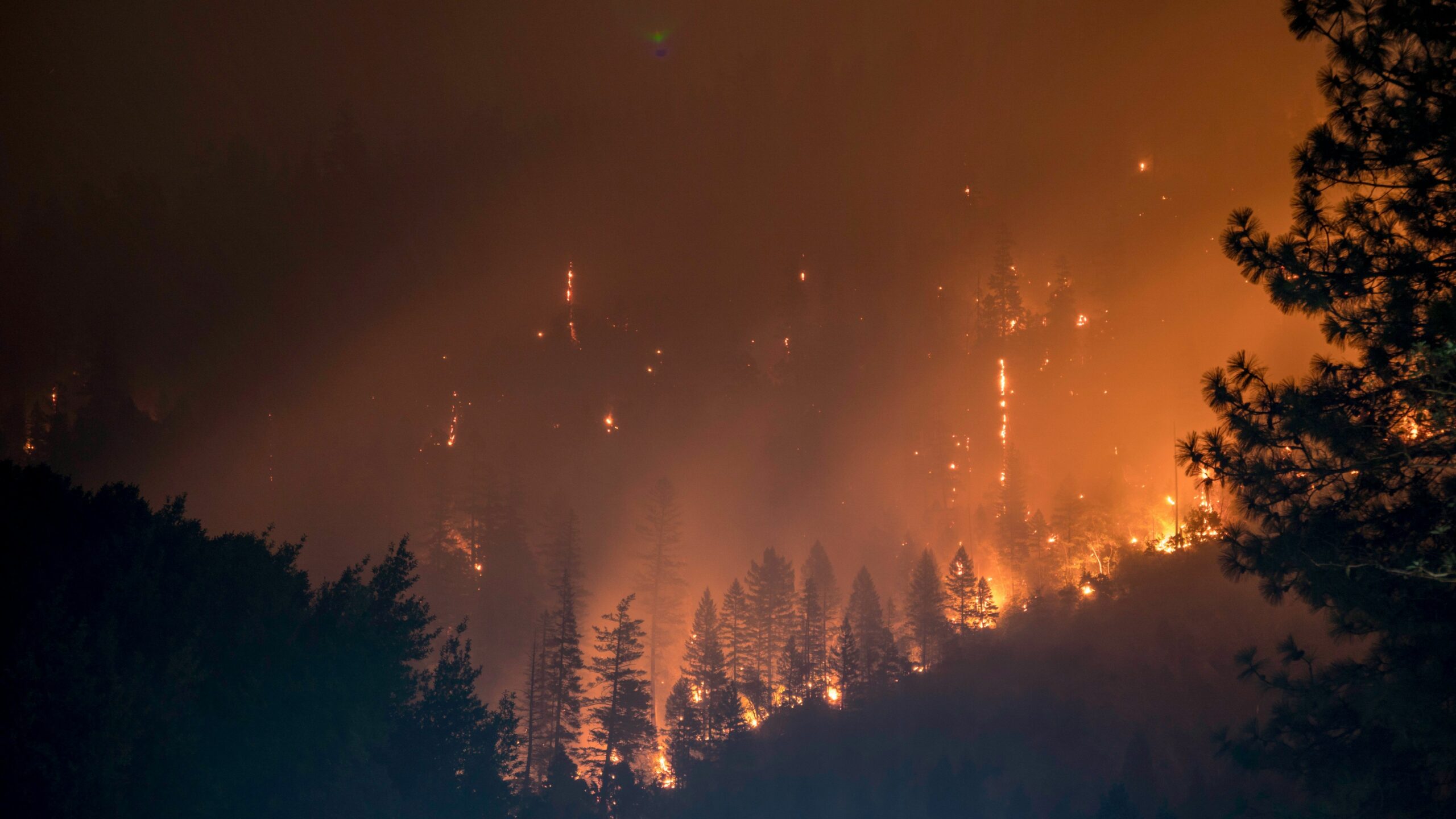 incendios 2 scaled