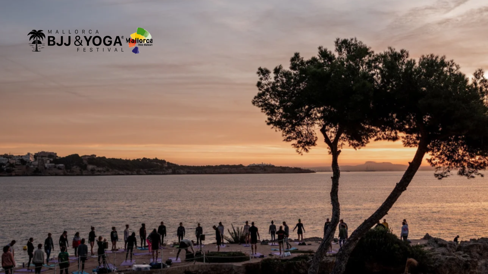 Mallorca BJJ Yoga Festival