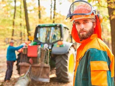 Formación Universitaria prepara para el Título Oficial de Técnico Superior en Gestión Forestal y del Medio Natural