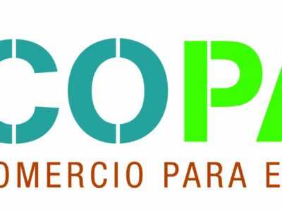 Más del 56% de España es bosque, pero su madera sigue desaprovechada