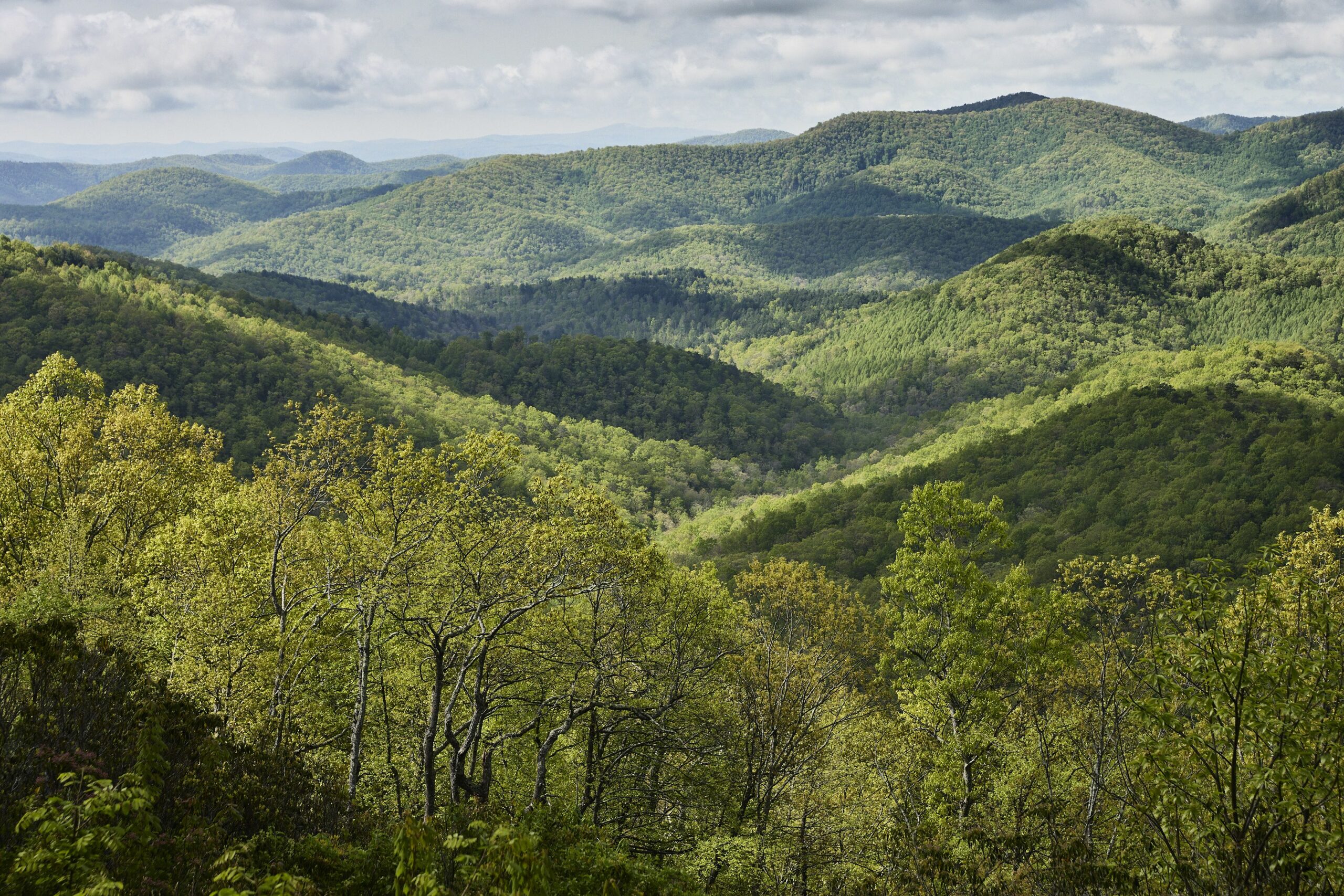 North Carolina 01 Photography by Petr Krejci scaled