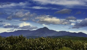 ADEL impulsó la economía rural con ayudas a asociaciones y ayuntamientos