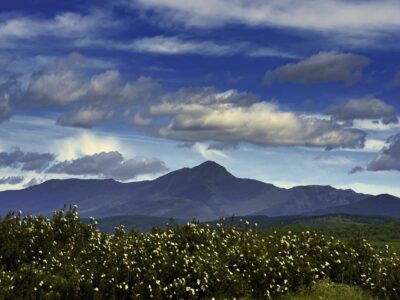 ADEL impulsó la economía rural con ayudas a asociaciones y ayuntamientos