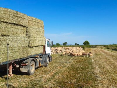 BioPalacín Planet se consolida en el mercado gracias al aumento del valor que el consumidor otorga a los alimentos km 0
