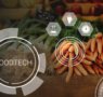 El auge del foodtech dispara la demanda de talento híbrido que une ciencia, tecnología y sostenibilidad