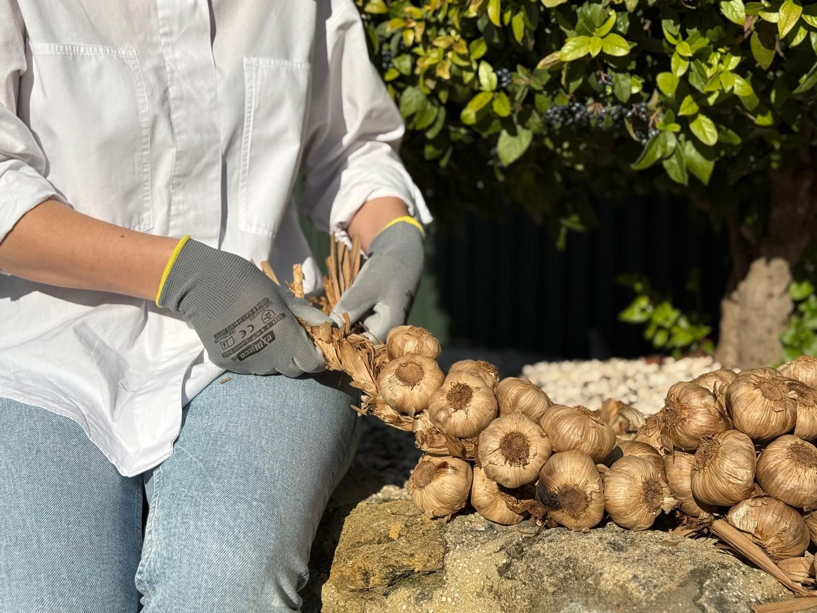 trenza de ajos negros la abuela carmen