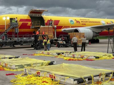 DHL presenta los envíos más insólitos realizados a lo largo de 2025