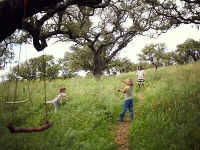 Traditional Dream Factory supera los 1,2 millones de euros y lidera la economía regenerativa en Europa