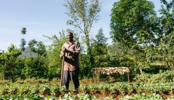 Smoking Paper contribuye a la plantación de 245.922 árboles