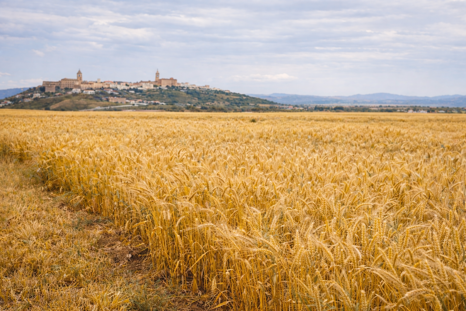 ChatGPT Image 22 ene 2026 12 26 23